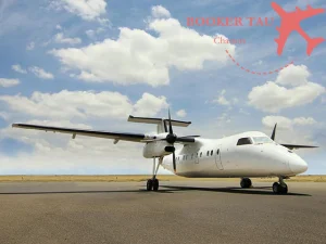 IMG-20231108-WA0003